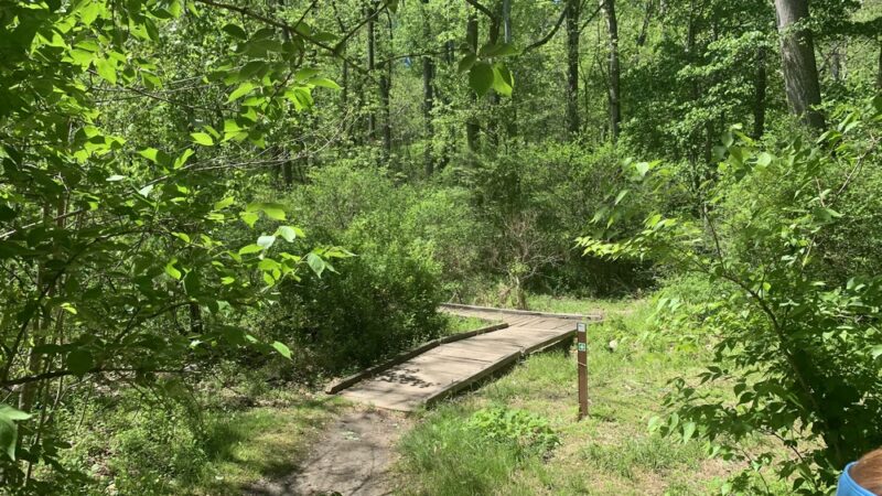 Bull Run Mountains Natural Area Preserve - Virginia Outdoors Foundation - Broad Run, VA