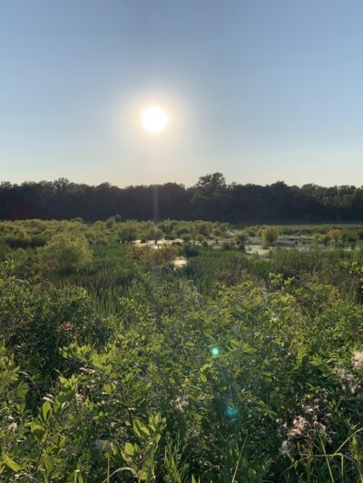 Leopold’s Preserve - Broad Run, VA