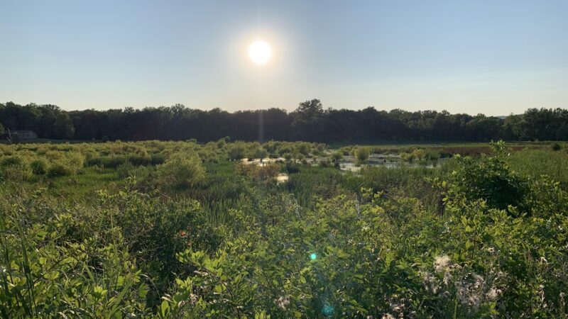 Leopold’s Preserve - Broad Run, VA
