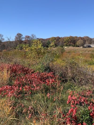 Leopold’s Preserve - Broad Run, VA