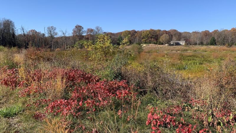 Leopold’s Preserve - Broad Run, VA