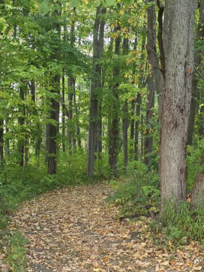 Northampton Park - Brockport, NY