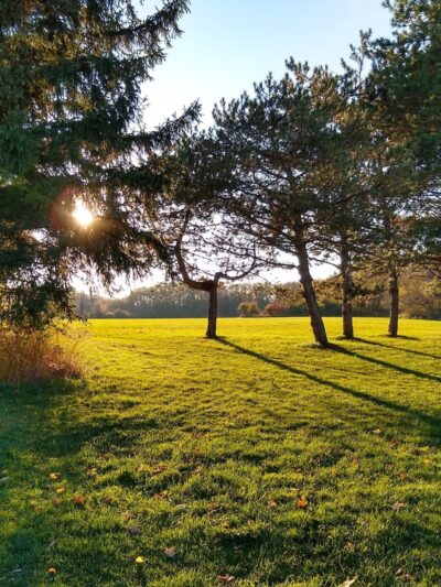 Northampton Park - Brockport, NY