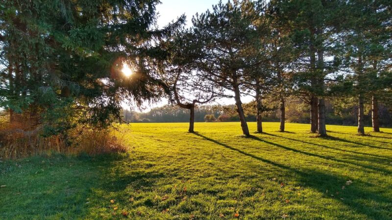 Northampton Park - Brockport, NY