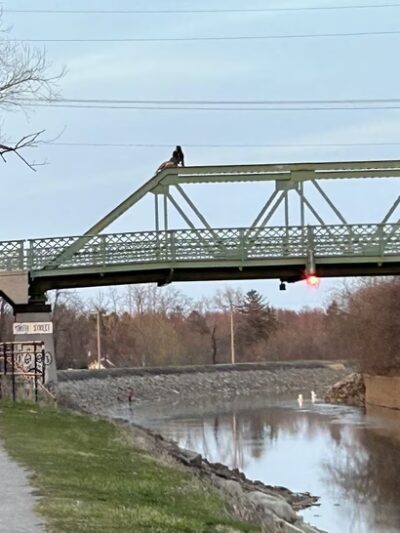 Corbett Park - Brockport, NY