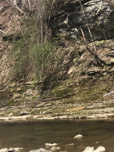 Brodhead Depot Park - Brodhead, KY