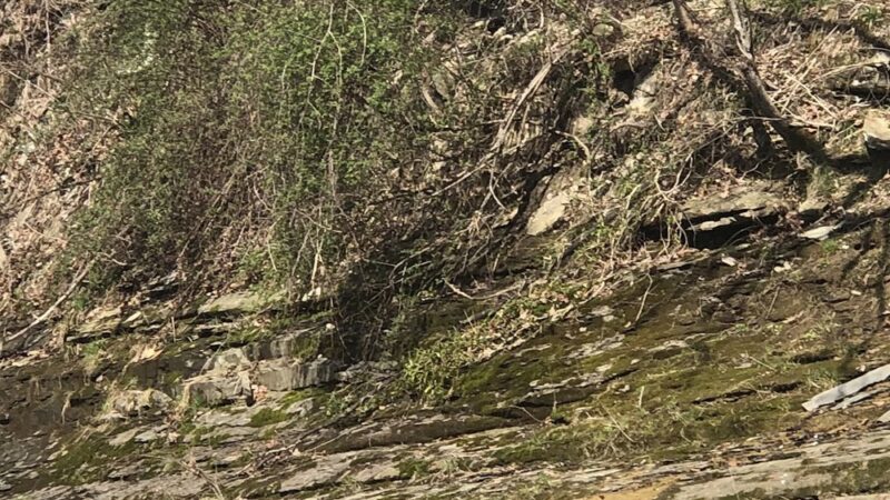 Brodhead Depot Park - Brodhead, KY