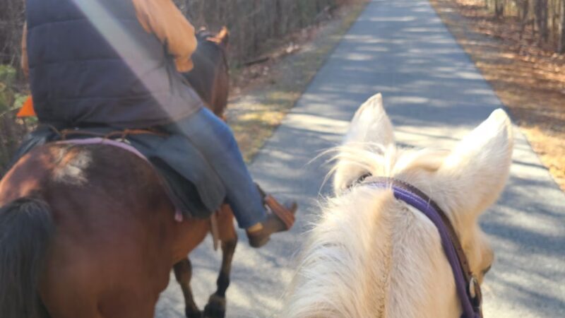 Tobacco Heritage Trail Trailhead - Regional Airport Road - Brodnax, VA