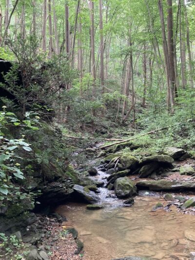 Apollo County Park, Brogue, PA - Brogue, PA