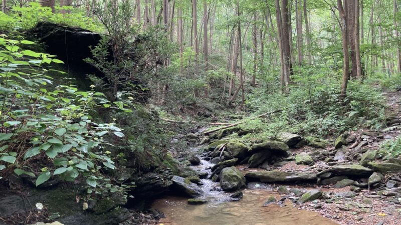 Apollo County Park, Brogue, PA - Brogue, PA