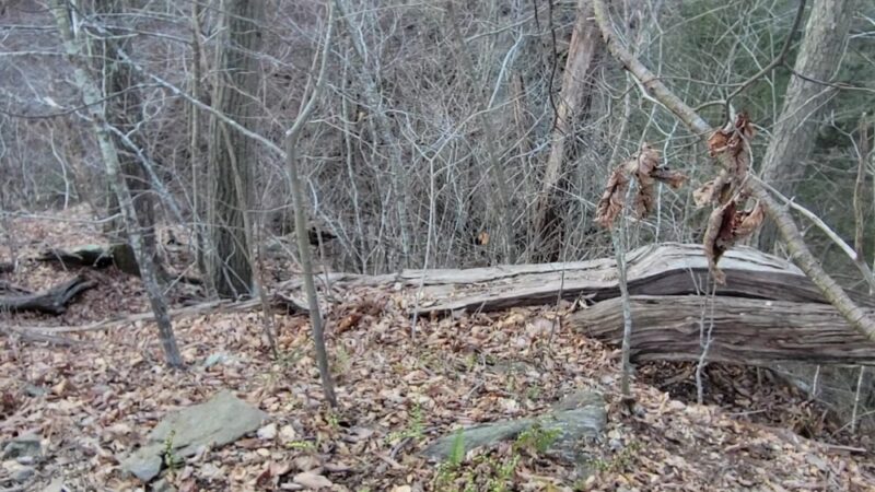Apollo County Park, Brogue, PA - Brogue, PA