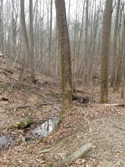 Apollo County Park, Brogue, PA - Brogue, PA