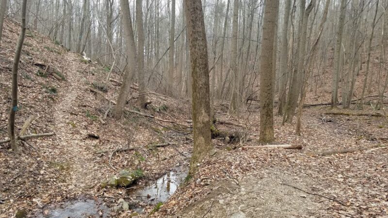 Apollo County Park, Brogue, PA - Brogue, PA