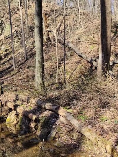 Apollo County Park, Brogue, PA - Brogue, PA
