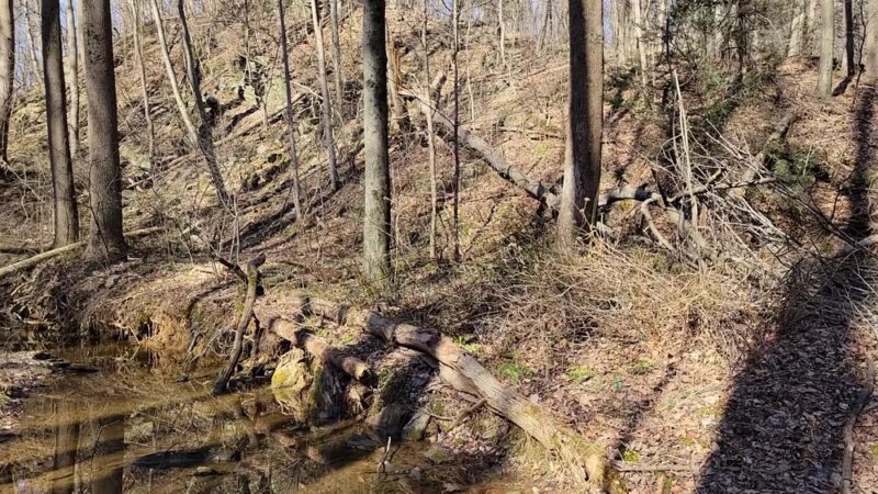 Apollo County Park, Brogue, PA - Brogue, PA