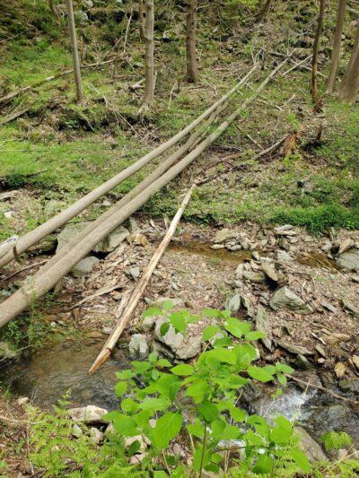 Apollo County Park, Brogue, PA - Brogue, PA