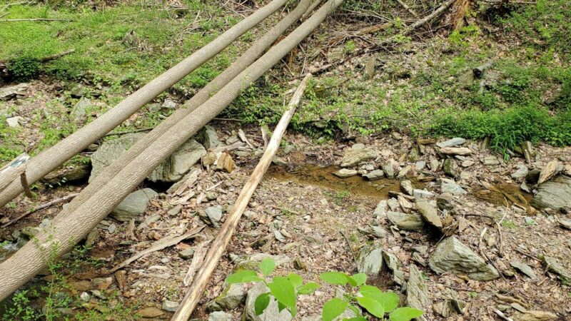 Apollo County Park, Brogue, PA - Brogue, PA