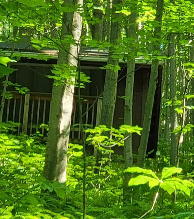 Shelter On Mason Dixon Trail - Brogue, PA