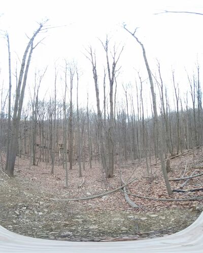Shelter On Mason Dixon Trail - Brogue, PA