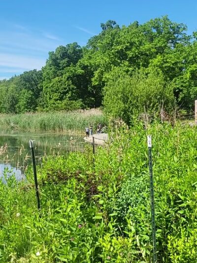 Crotona Park - Bronx, NY