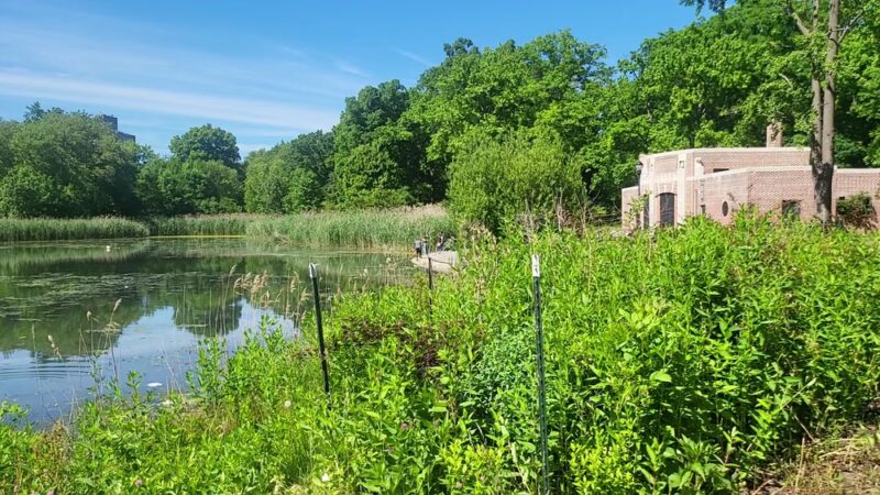 Crotona Park - Bronx, NY