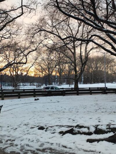 Crotona Park - Bronx, NY