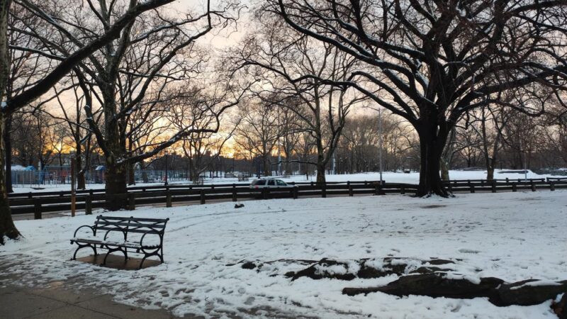 Crotona Park - Bronx, NY