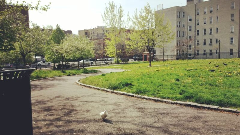 Grant Park - Bronx, NY