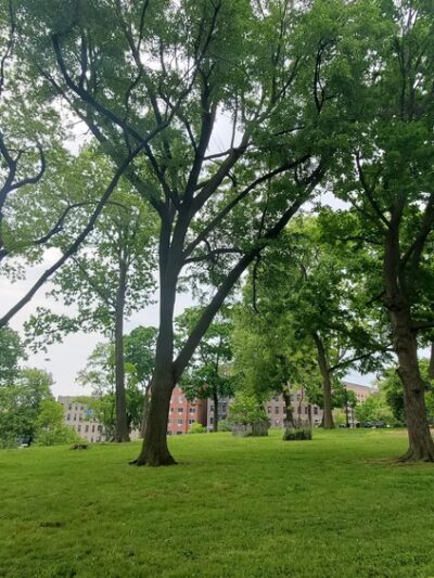 Hylan Park - Bronx, NY