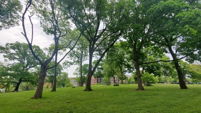 Hylan Park - Bronx, NY