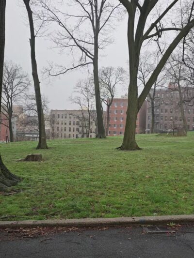 Hylan Park - Bronx, NY