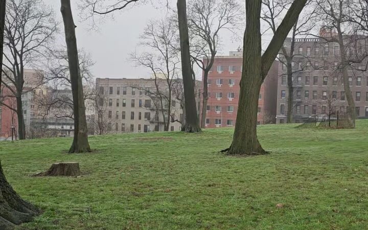 Hylan Park - Bronx, NY