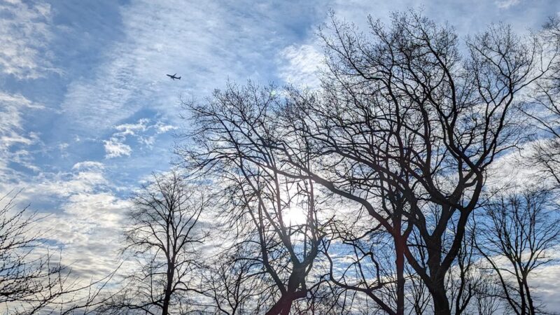 Hylan Park - Bronx, NY