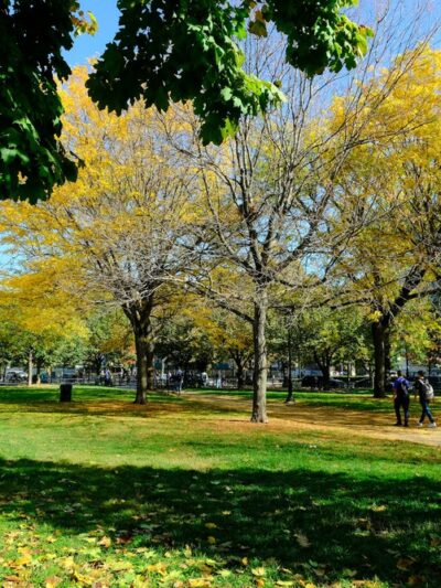 Joyce Kilmer Park - Bronx, NY