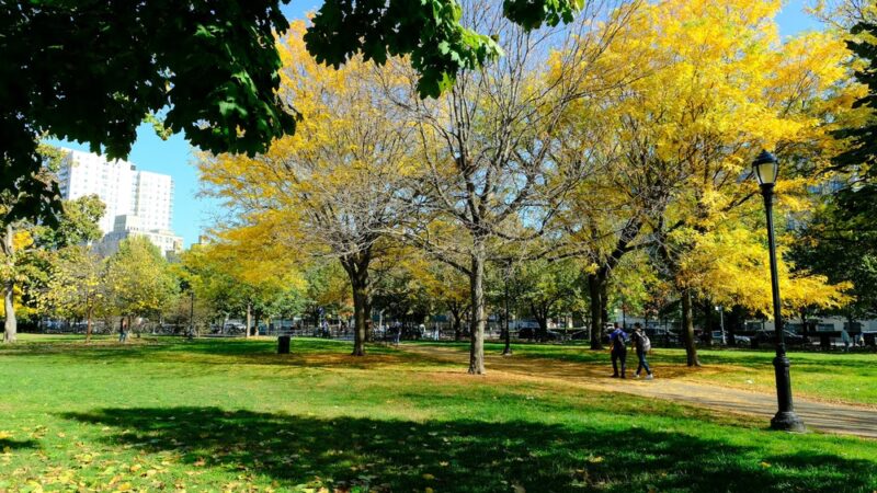 Joyce Kilmer Park - Bronx, NY