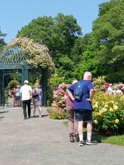 Peggy Rockefeller Rose Garden, NYBG - Bronx, NY