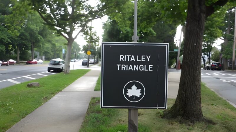 Rita Ley Triangle - Bronx, NY