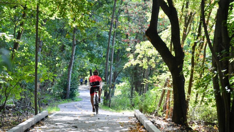 Van Cortlandt Park - Bronx, NY