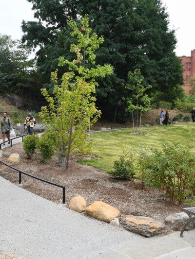 Estella Diggs Park - Bronx, NY