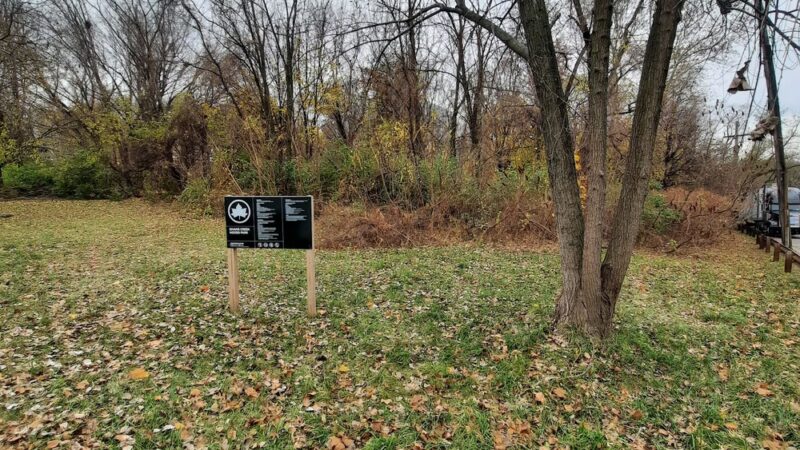 Givans Creek Woods - Bronx, NY