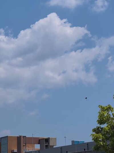 Mill Pond Park - Bronx, NY