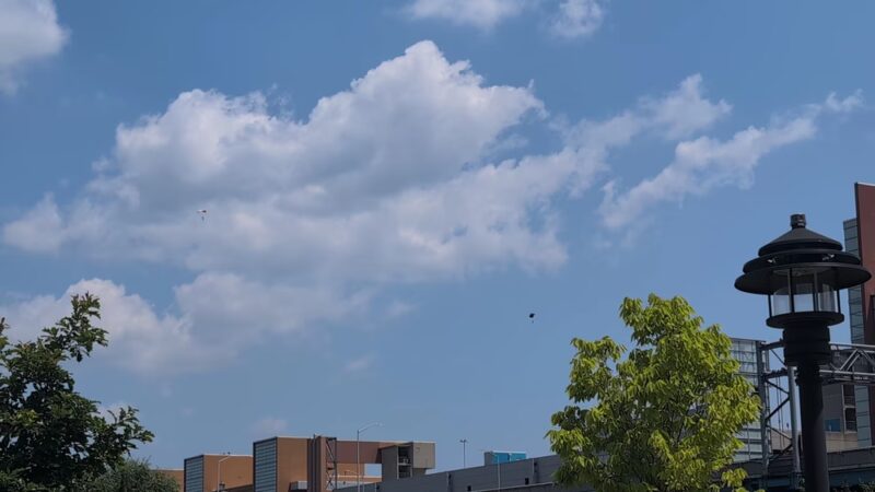 Mill Pond Park - Bronx, NY