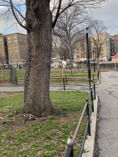 Poe Park - Bronx, NY