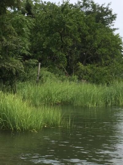 Pugsley Creek Park - Bronx, NY
