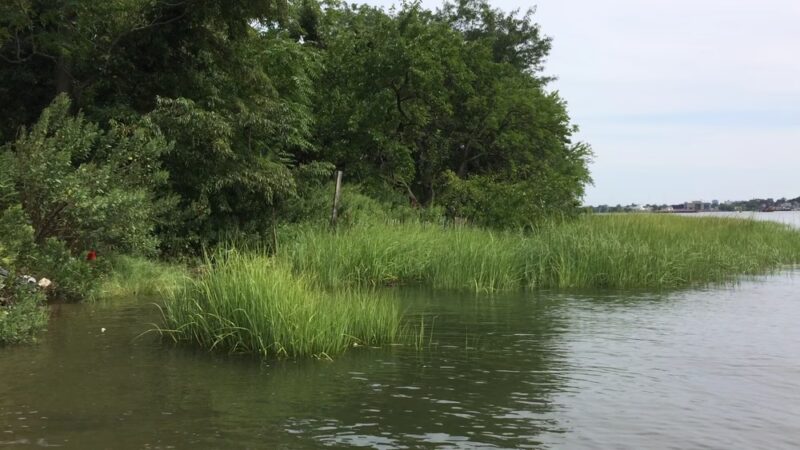 Pugsley Creek Park - Bronx, NY