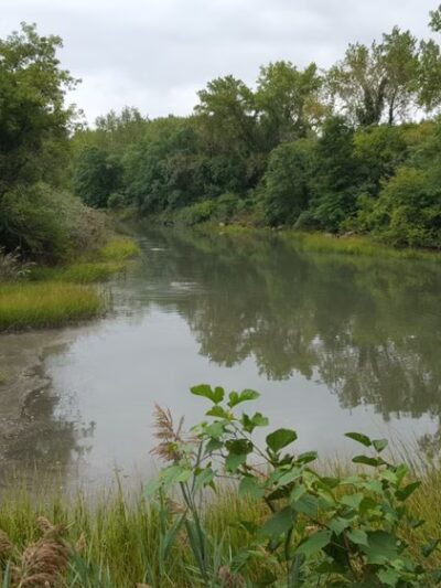 Pugsley Creek Park - Bronx, NY