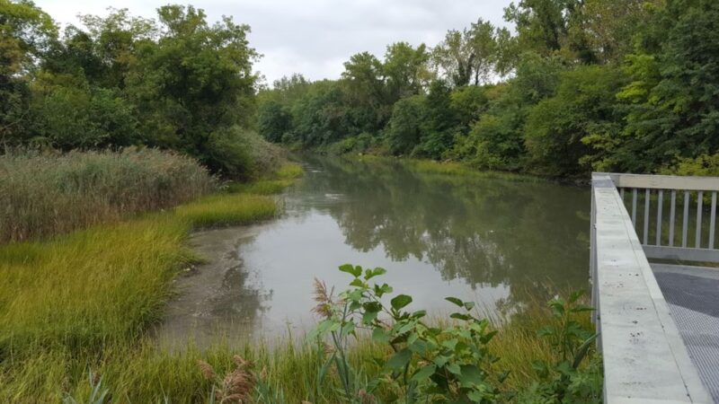 Pugsley Creek Park - Bronx, NY