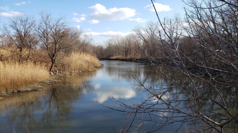 Pugsley Creek Park - Bronx, NY