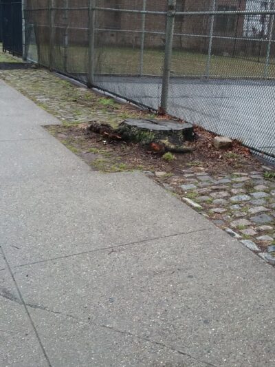 Rienzi Playground - Bronx, NY