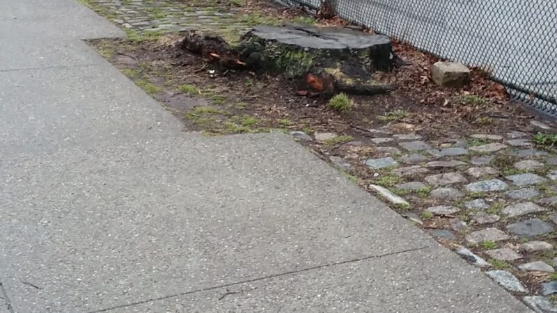 Rienzi Playground - Bronx, NY